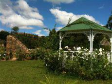 The garden