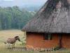 Swazi, accommodation, huts, self-catering units, rest camp