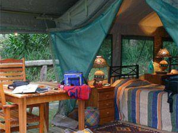 Safari Tent 3 & 4