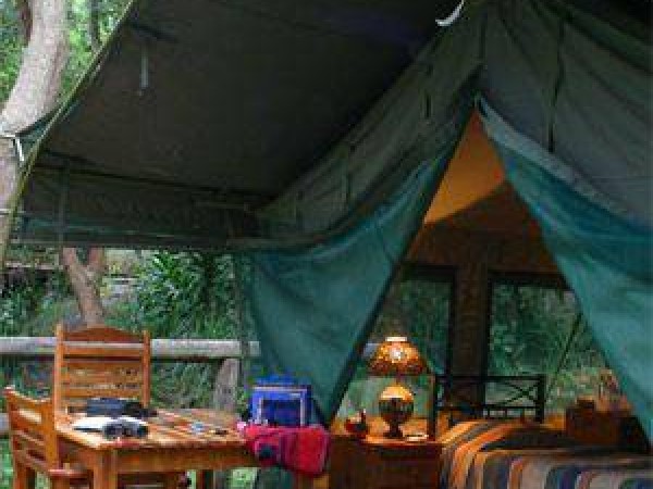 Safari Tent 1 & 2