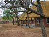 Budget Accommodation Swaziland, Hlane Royal National Park, self-catering, wildlife, safari, Wisteria camp